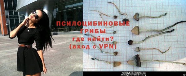 спайс Заводоуковск