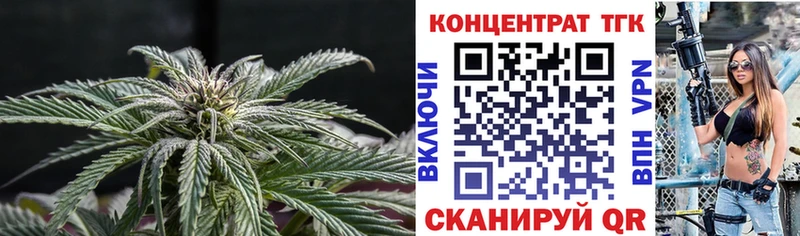 сколько стоит  OMG онион  ТГК гашишное масло  Аргун 